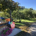 台風19号が通り過ぎました