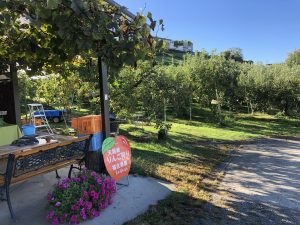 台風19号が通り過ぎました