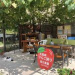 ２０２０年度りんご狩りオープンしました